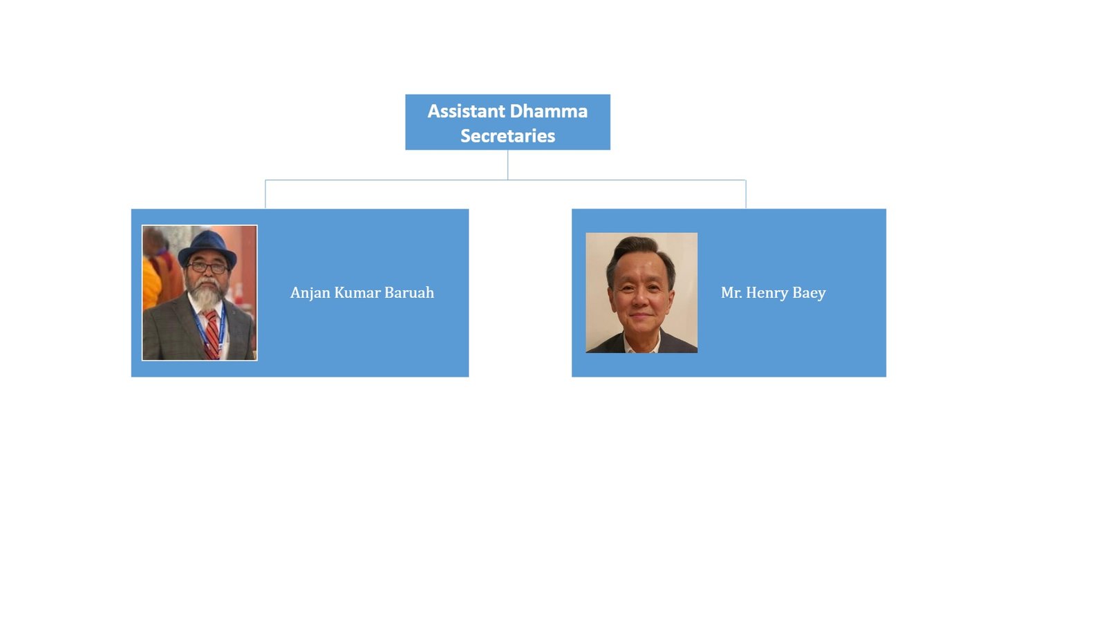 IBC Organization Structure